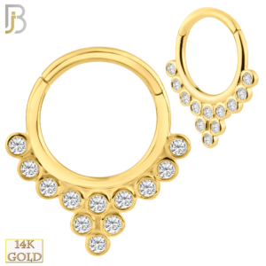 14K Solid Gold Hinged Hoops with Cluster Zircon